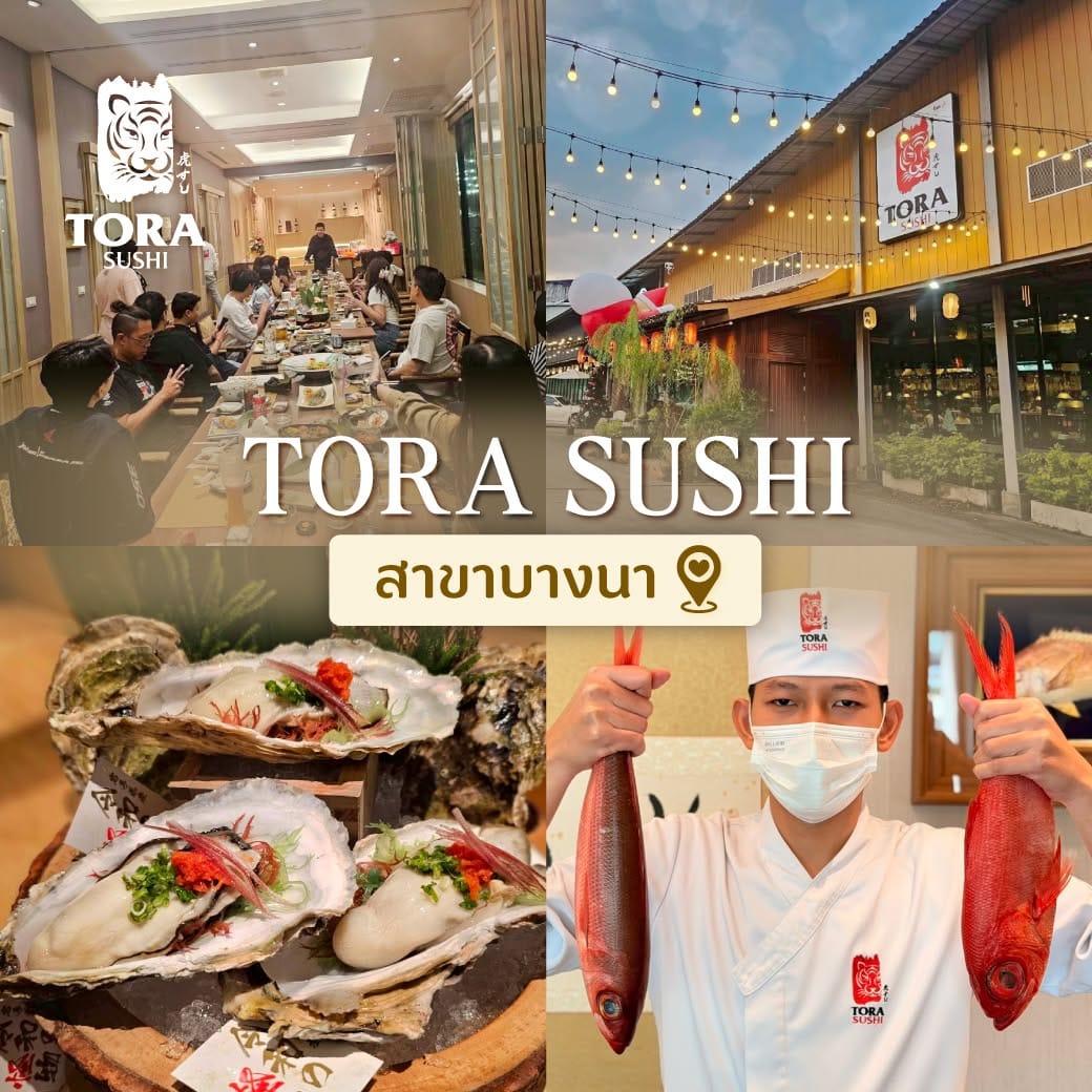 TORA FAMILY GROUP CO.,LTD. - Image 2