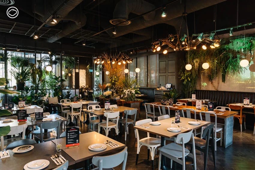 GreyhoundCafe - Image 3