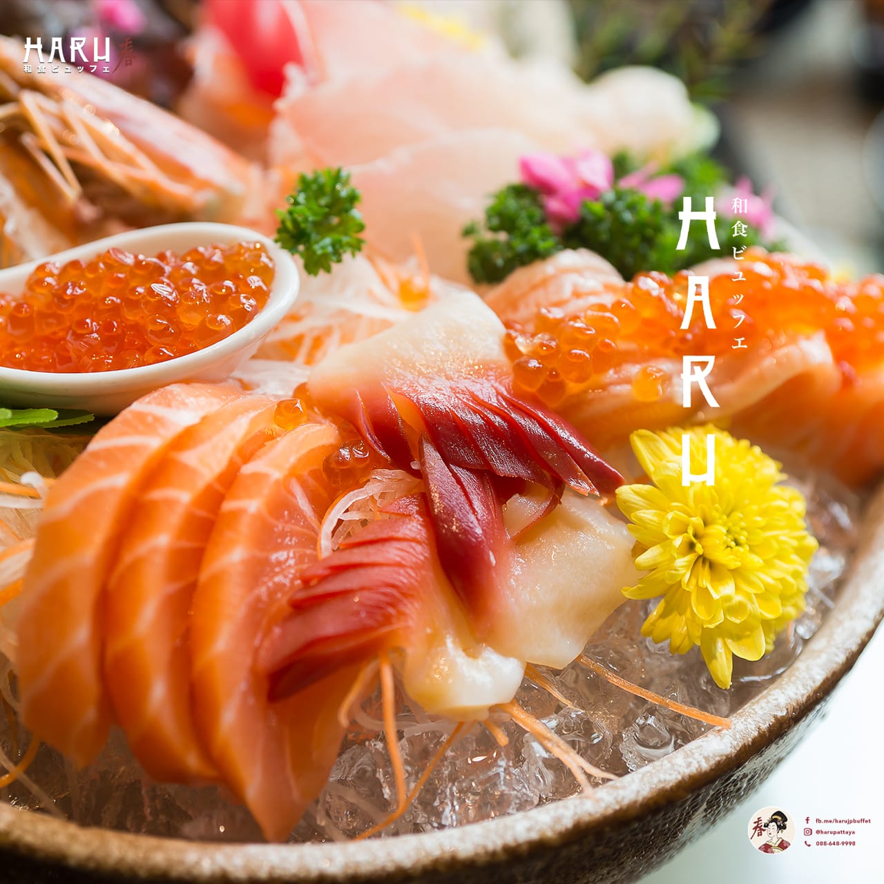 HARU JAPANESE FOOD - Image 3